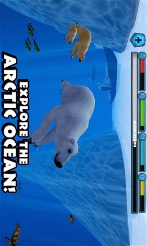 北极熊模拟-01