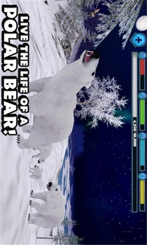 北极熊模拟-2