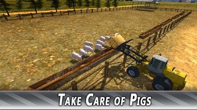农场猪猪模拟-01
