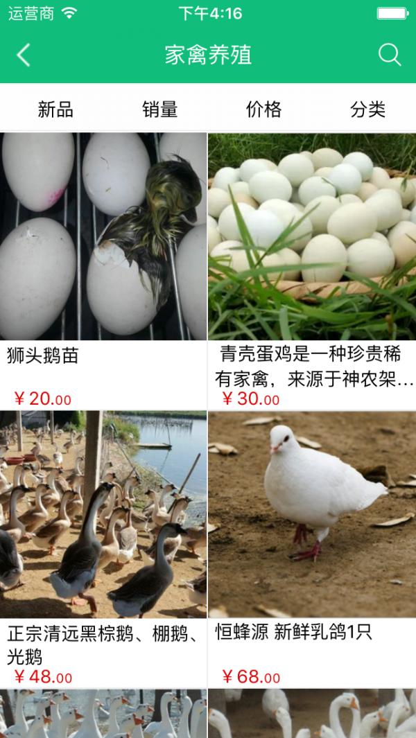 中国家禽养殖网-2