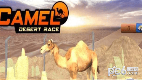 骆驼模拟器-2