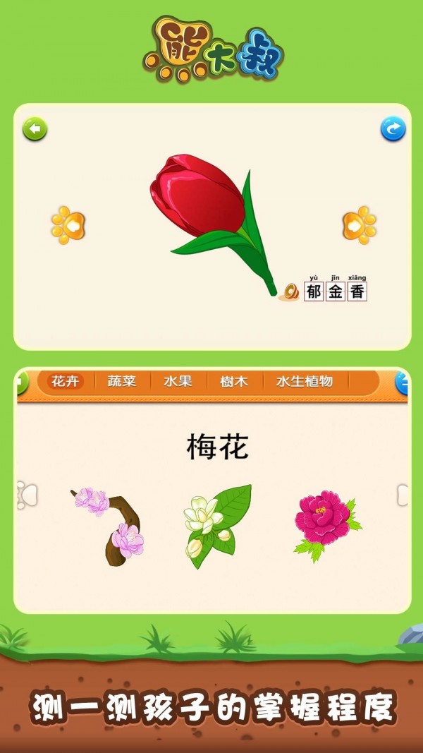 宝宝植物拼图-3